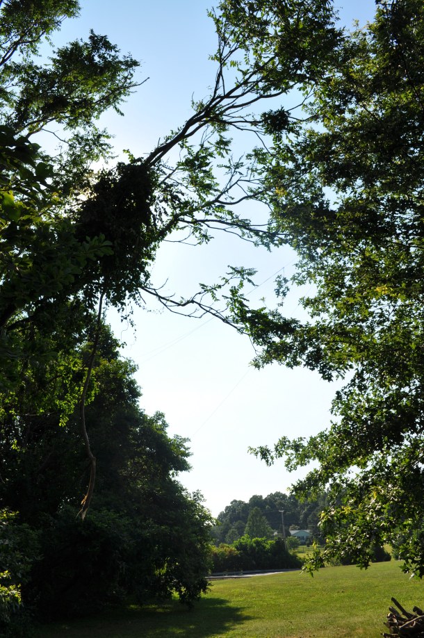 storm and dinner 064