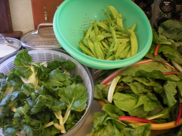 summer csa week 4 024