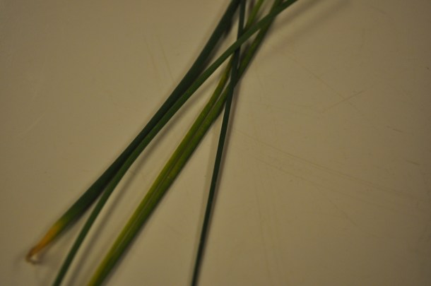 sunday night supper 003