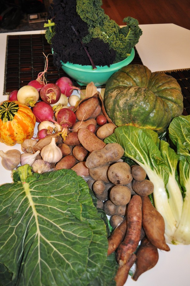 Sandy Spring Fall CSA Week Seven