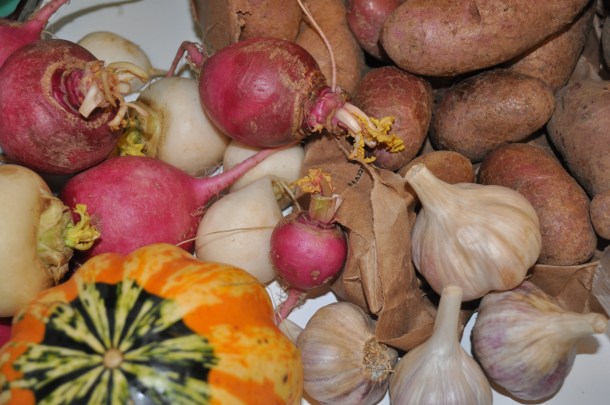 csa fall 2012 week 7 043