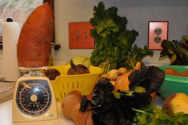 csa last week plus baking and cooking 017