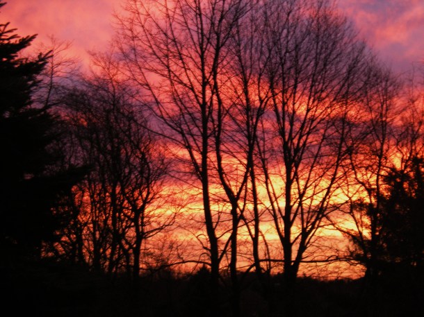 dark days week one 009