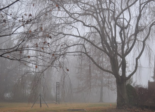 making progress on the first tower