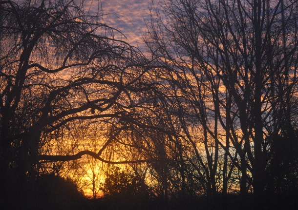 sunrise new year's eve