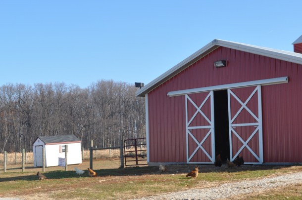 saturday shopping and cooking 039