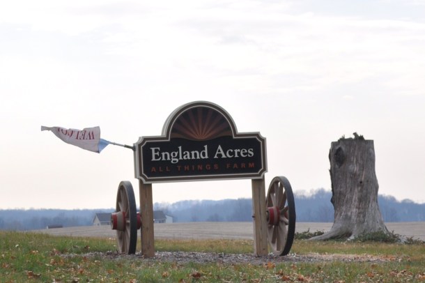 saturday shopping and cooking 106