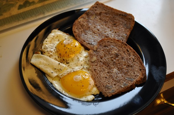 silver spring and birds 036