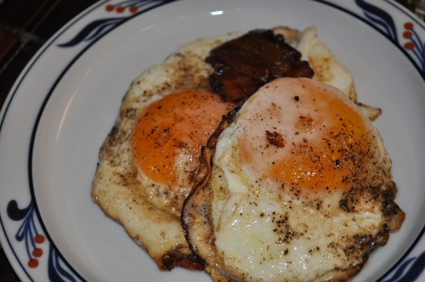 breakfast and birds at new feeder 006
