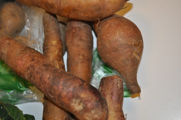 csa fall 2012 week 7 038