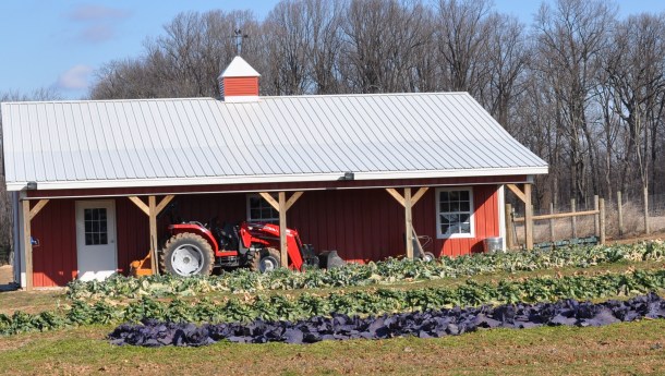 Breezy Willow in January