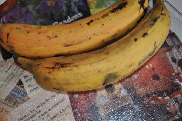 england acres and cooking 008