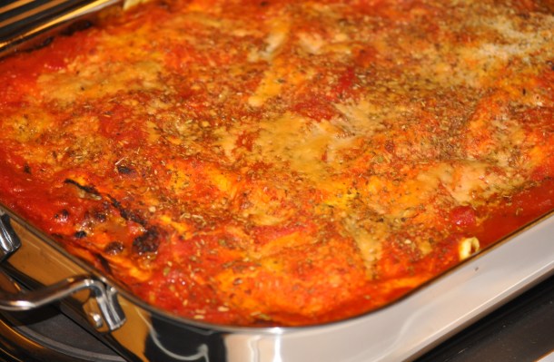 hawks and lasagna 033