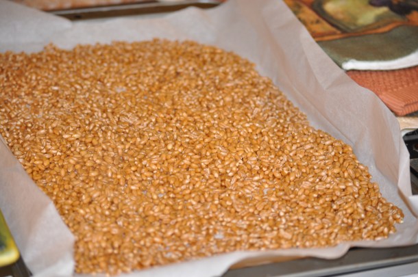 wheat berries 001
