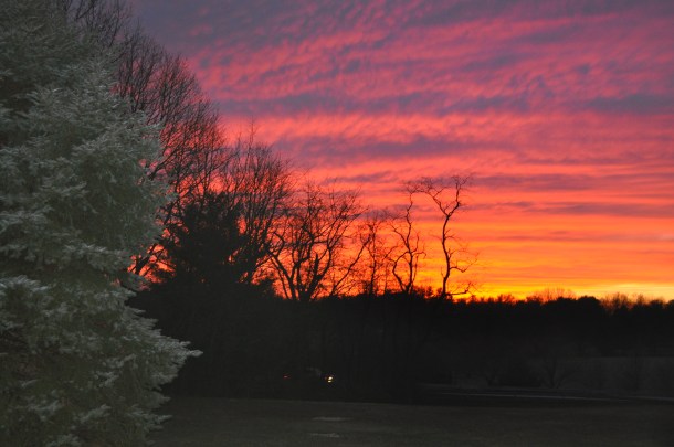 breaux and common market 085