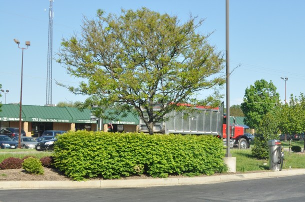 brighton dam and glenelg 003