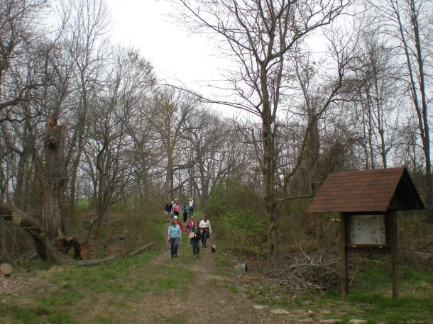 conservancy and snowball stand 006