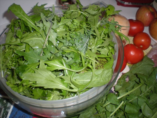 olney, eat local, columbia game 142