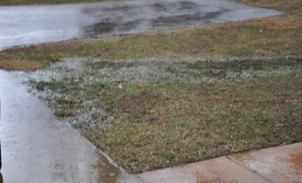 stormwater and italian meal 051