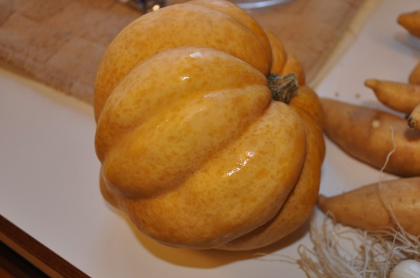 2012 fall csa week 2 017