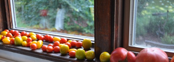 buy local challenge 037