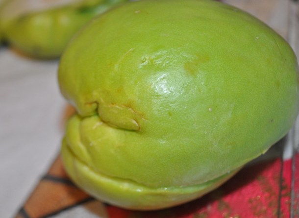 chayote 001