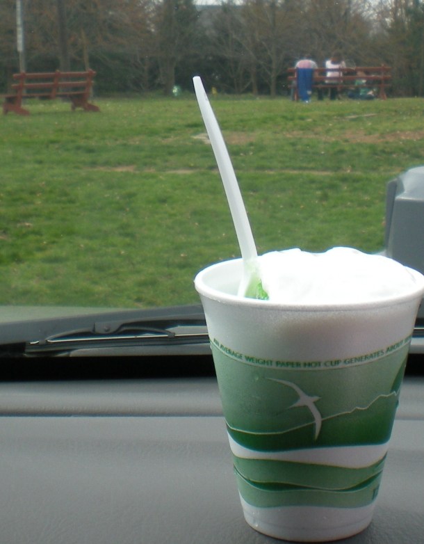 conservancy and snowball stand 056