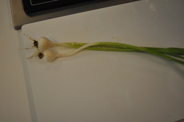 gardening and radio and food 072