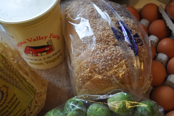 hexbeam and csa spring week two 021