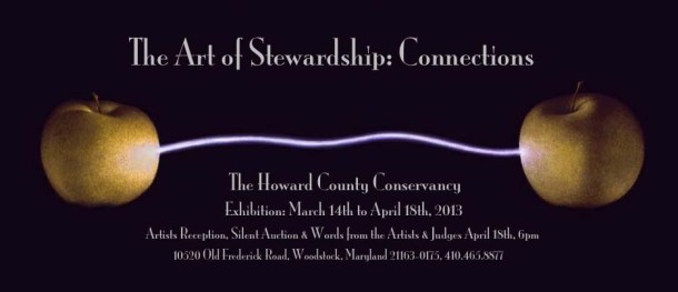 537274_10151613146935844_2089587143_n