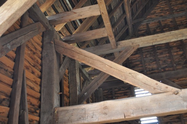 conservancy spring woodstock 007