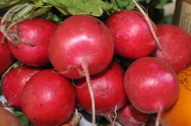 early bird csa week 8 and conservancy pilot 122