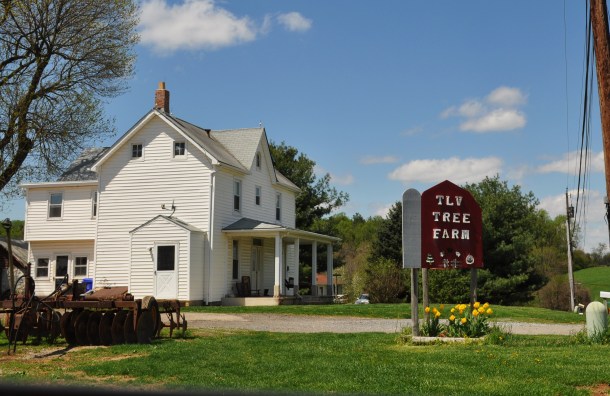 earth day tlv and brighton dam 13 145