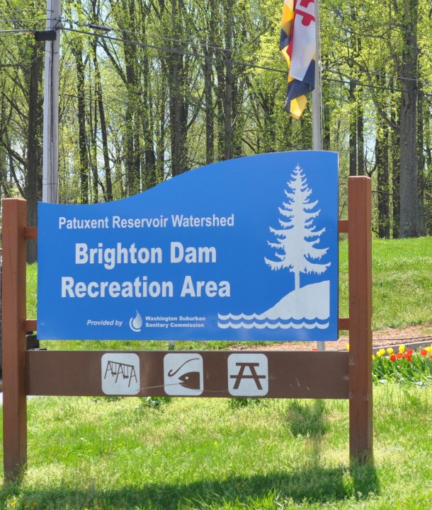 earth day tlv and brighton dam 13 243