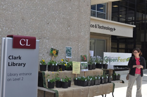 greenfest 13 ncdxa and tulips 033