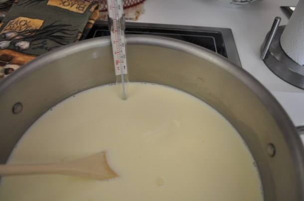 lamb, local dinner and mozz 014