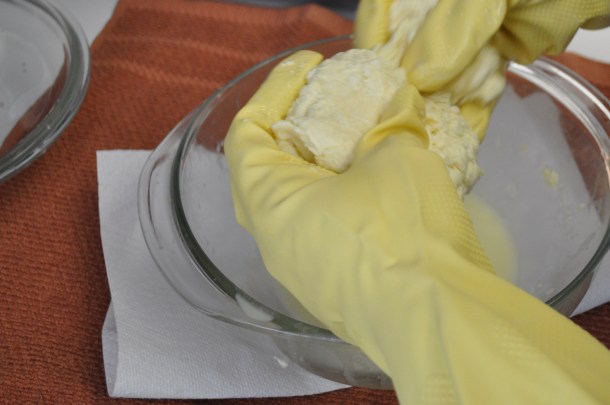 lamb, local dinner and mozz 030