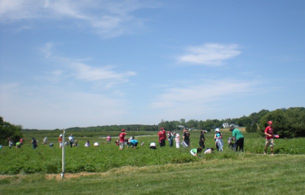 larriland and hocohospital market 021