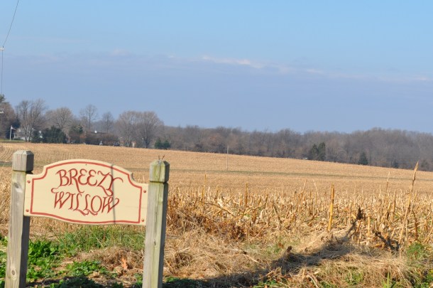 saturday shopping and cooking 043