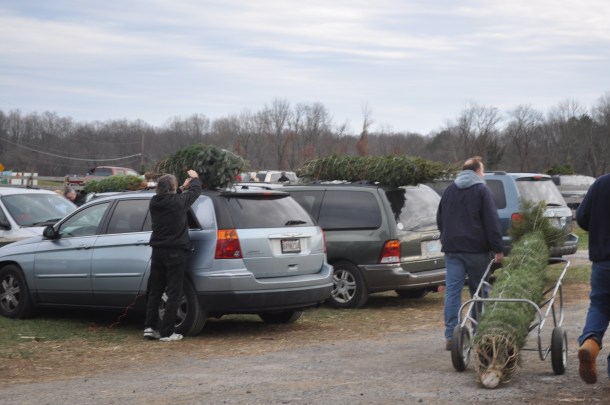 thanksgiving weekend out and about 106