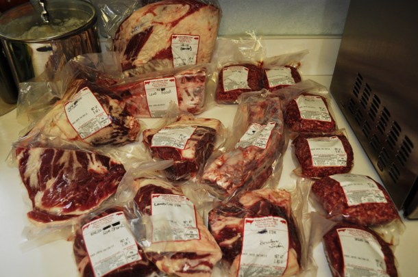 tulips and EA lamb 124