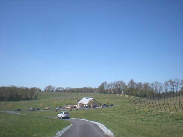 black ankle mt airy spring 025