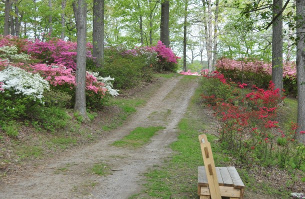 burtonsville and brighton dam 050