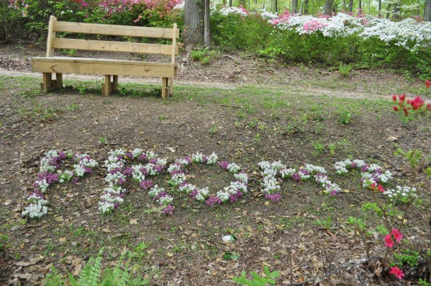 burtonsville and brighton dam 058