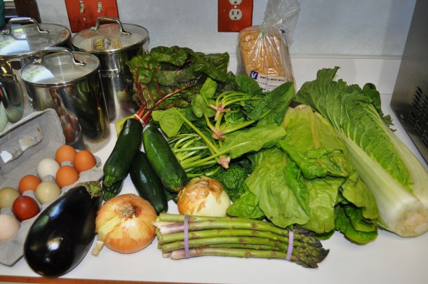 conservancy background breezy willow week 12 034