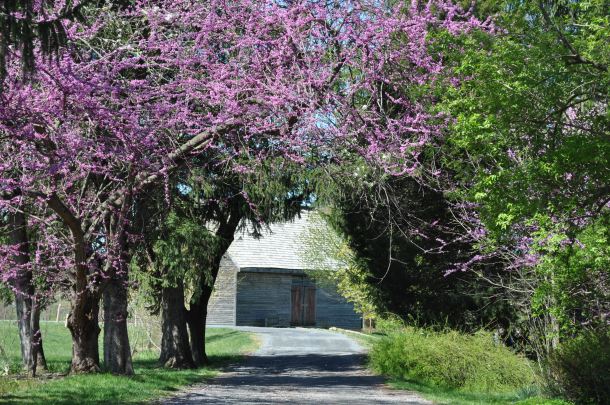 conservancy monday meeting 032