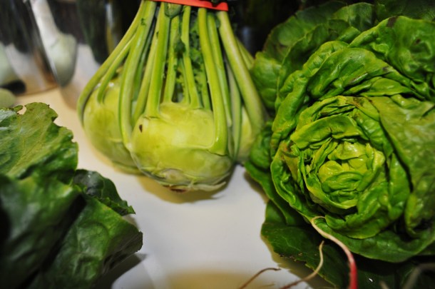 csa week one 13 ss 024