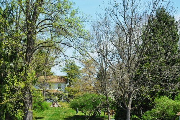 early bird csa week 8 and conservancy pilot 046