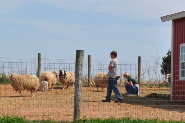 early bird csa week 8 and conservancy pilot 106