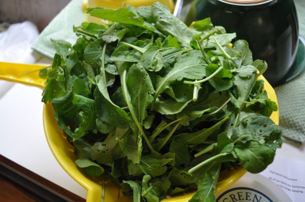 early bird week 10 markets and dinners 088